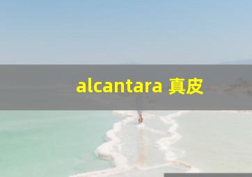 alcantara 真皮